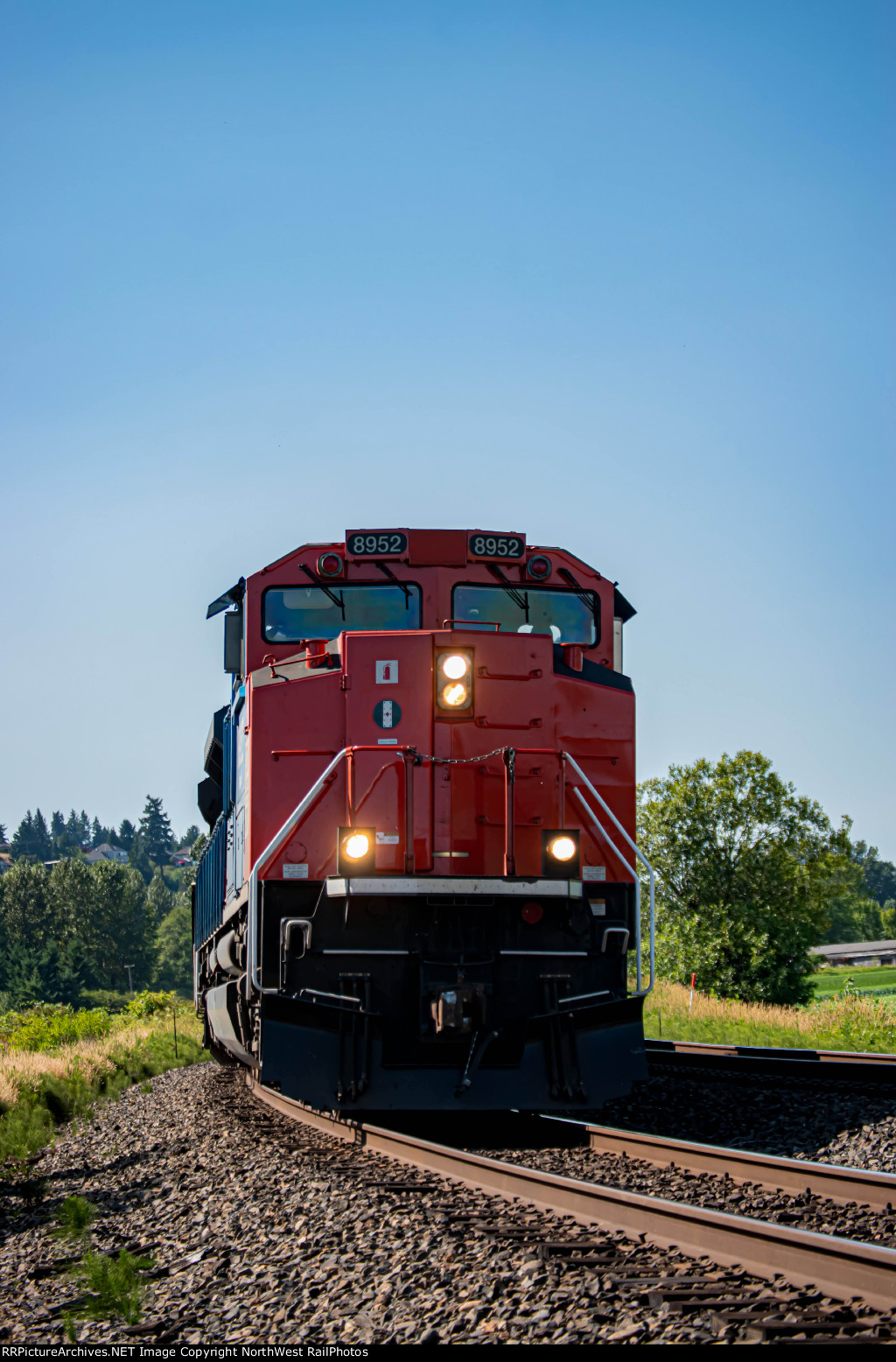 CN 8952